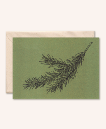 Nachhaltige Karte + Umschlag | Tannenzweig | Olive