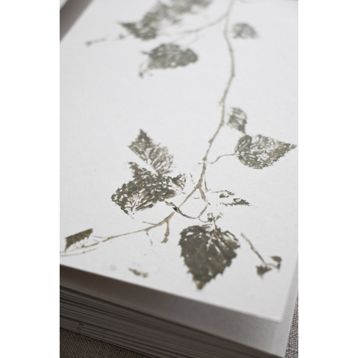 Silver Birch I | A Day in the Forest | Nature-inspired greeting cards