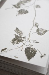 Sølv birk i | En dag i skoven | Naturinspirerede lykønskningskort