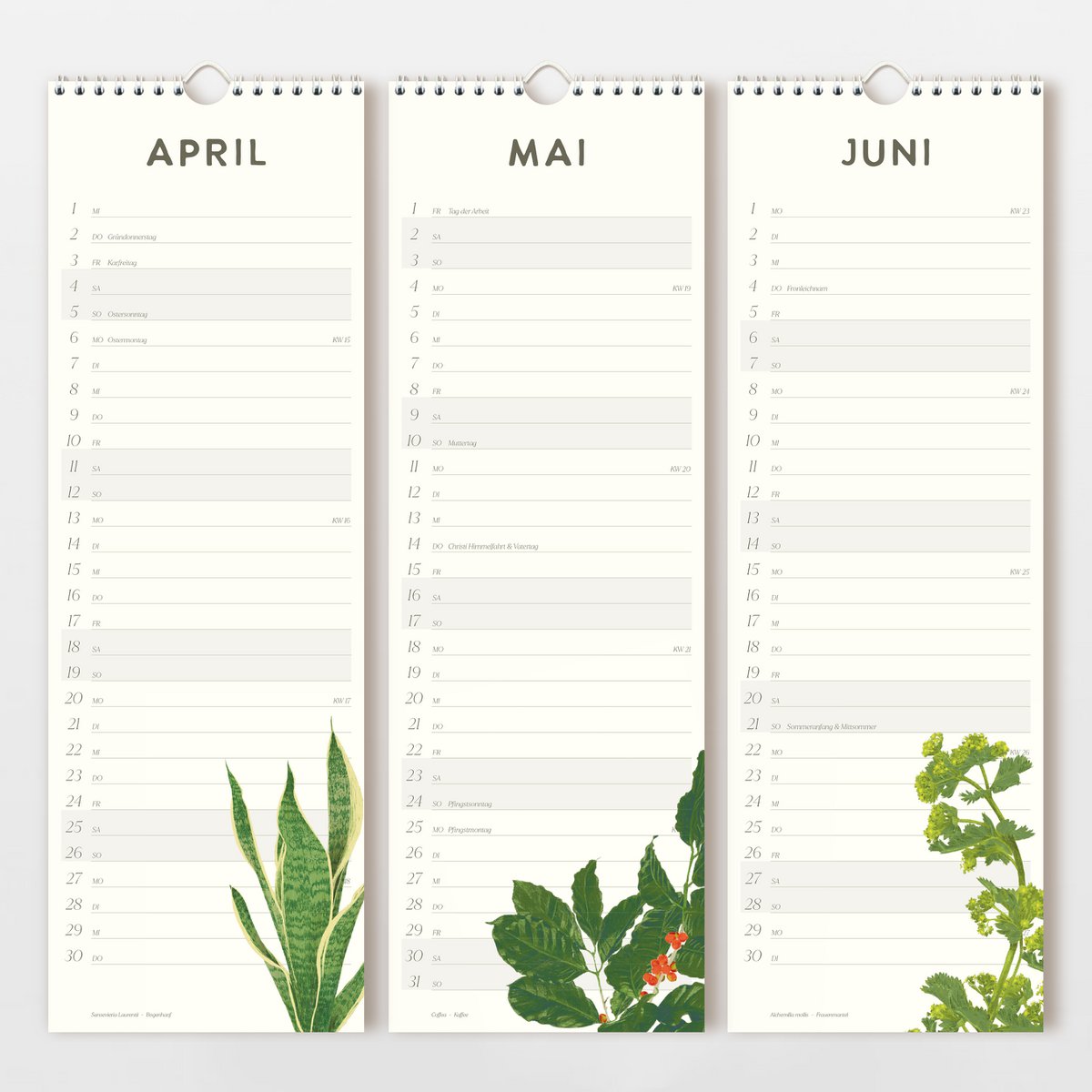 Wandkalender 2026 mit handgezeichneten Blumen, FSC
