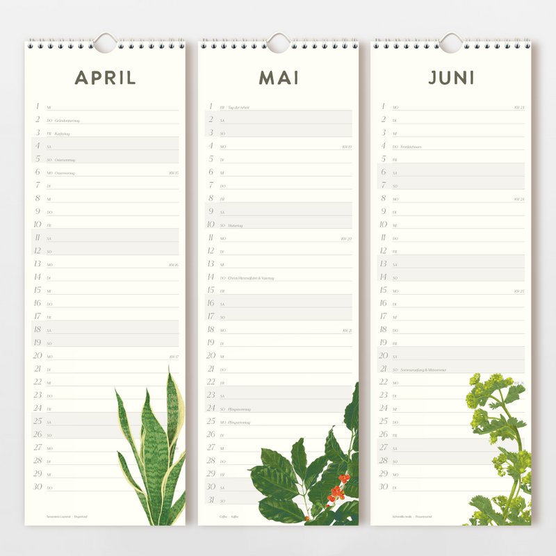 Wall calendar 2026 with hand-drawn flowers, FSC
