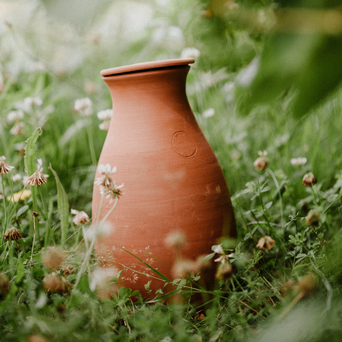 Ollas Vegetable Garden to Bury