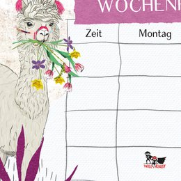 Planer tygodniowy - Lama
