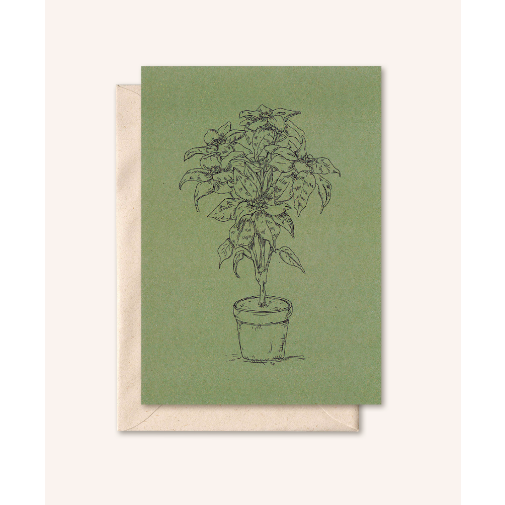 Duurzame kaart + envelop | Plant | Olijf