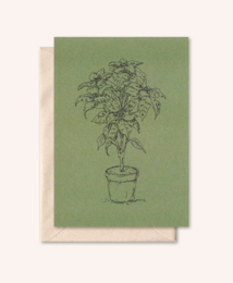 Tarjeta sostenible + sobre | Planta | Aceituna