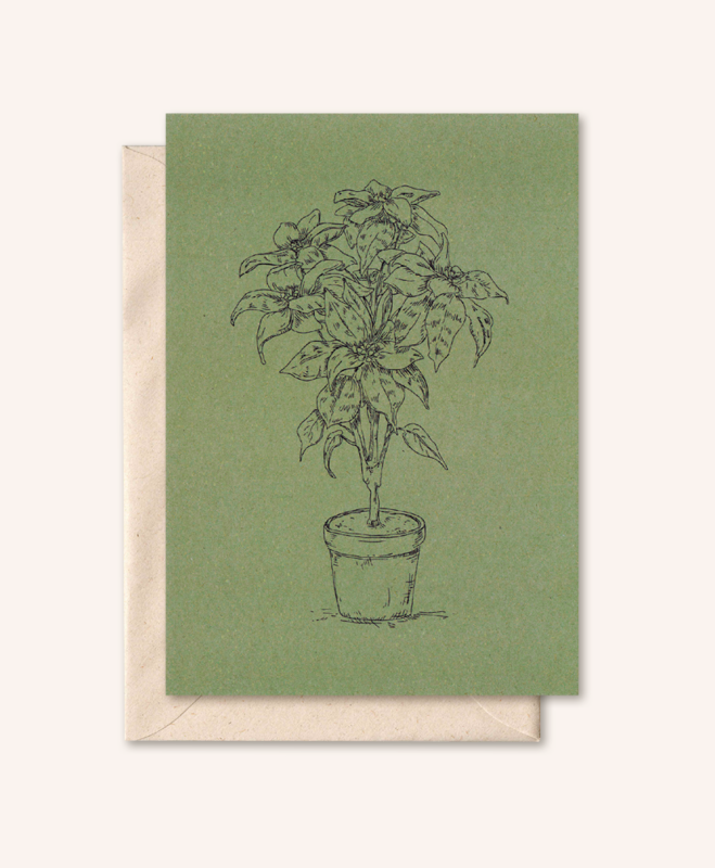 Tarjeta sostenible + sobre | Planta | Aceituna