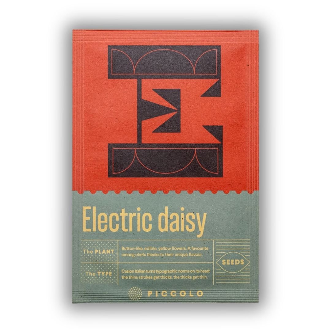 E - Electric Daisy