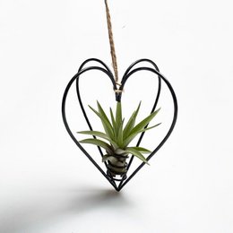 Metal heart black + airplant