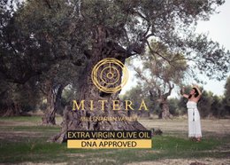 MITERA EVOO Amerius 500ml