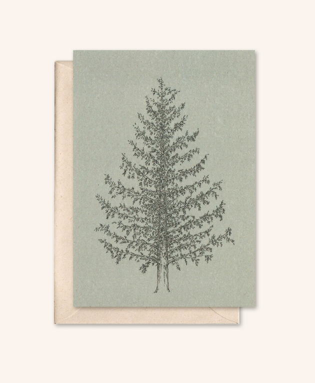Carte durable + enveloppe | Pin | sapin argenté
