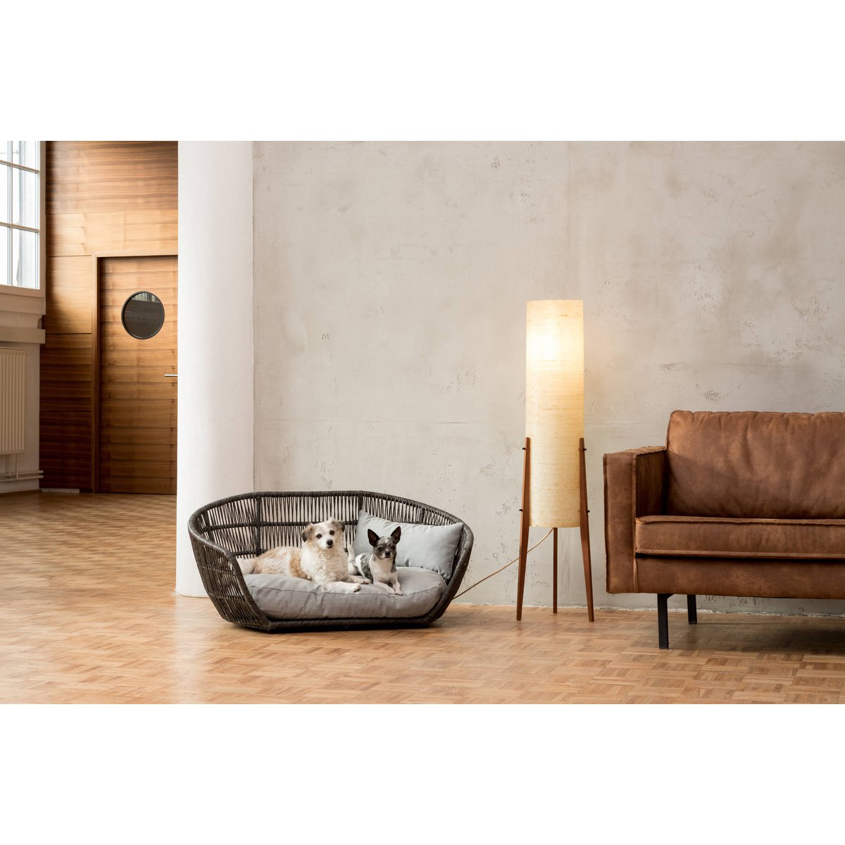 PRADO - Design-Hundebett LISCIO