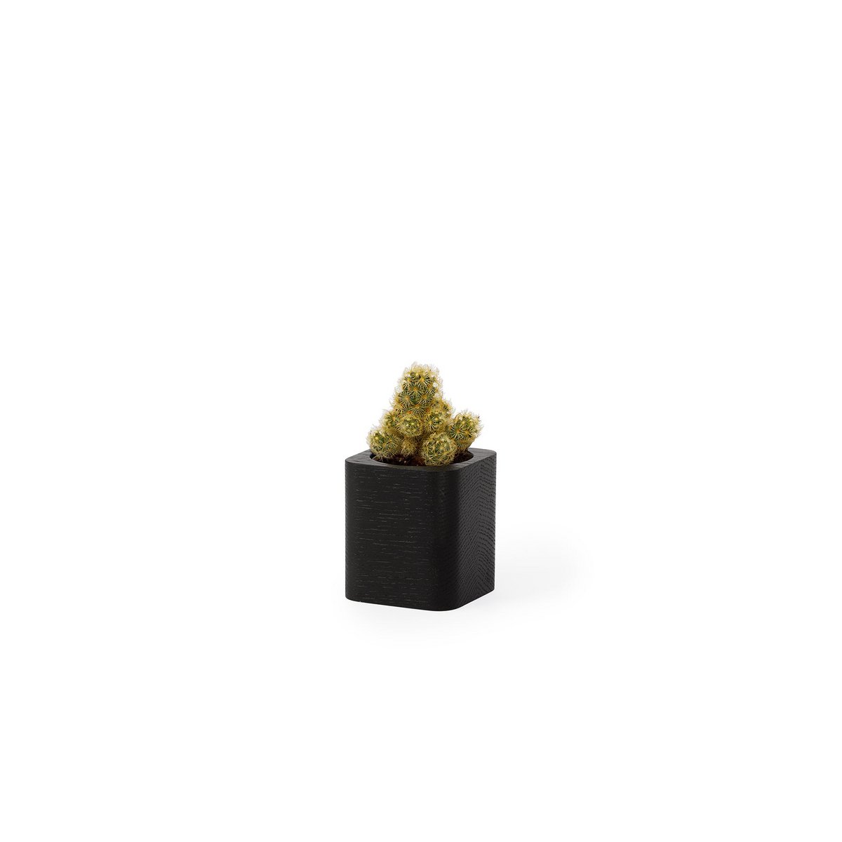 Jardinière carrée