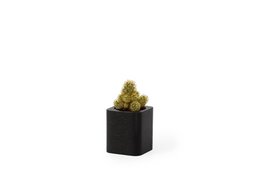 Square Planter