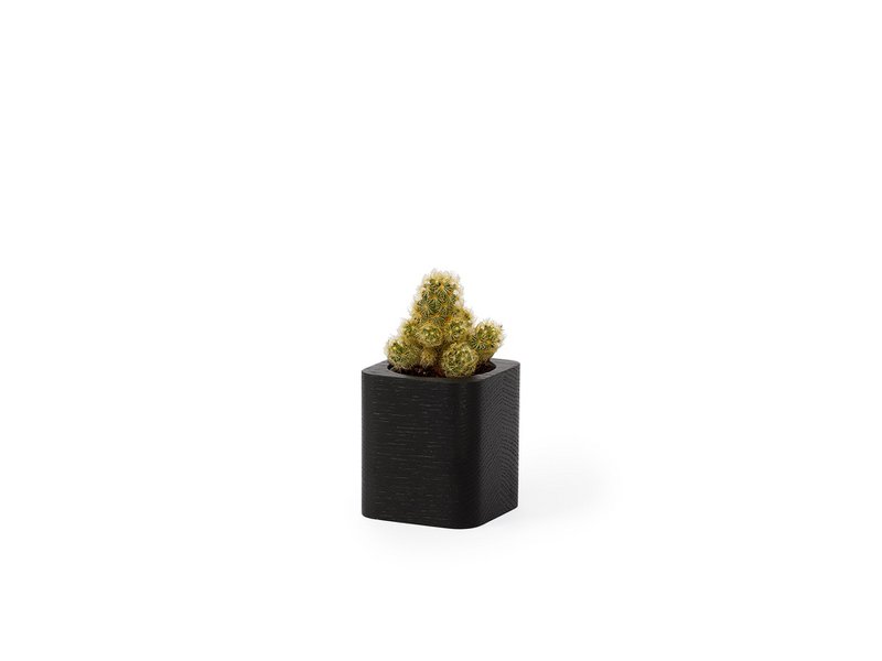Square Planter