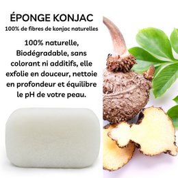 Classic Konjac XL Body Sponge