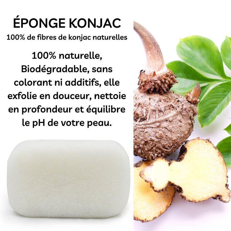 Classic Konjac XL Body Sponge