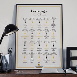 Les cépages et leurs arômes dominants 50x70cm
