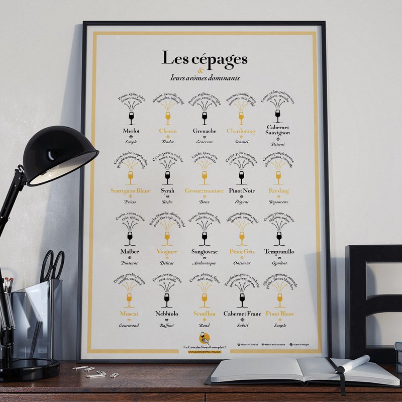 Les cépages et leurs arômes dominants 50x70cm