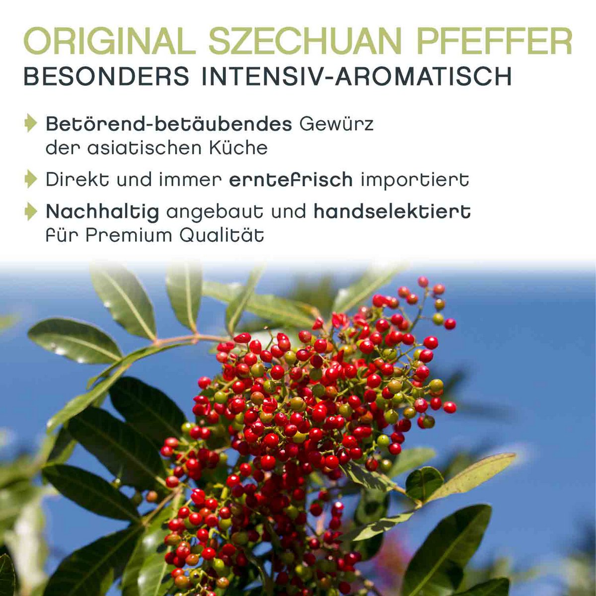 Pimiento rojo original de Szechuan, entero, 100g