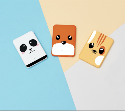 PACK Power Banks 5000mAh - 18 Stück