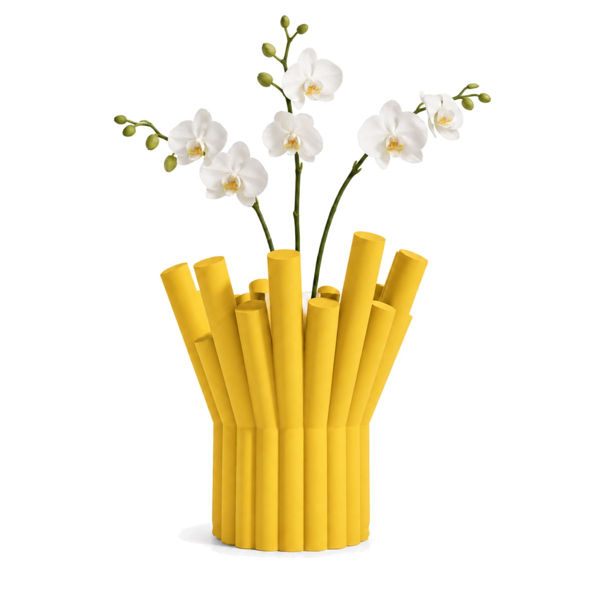 Rivolo Sculptural Vase