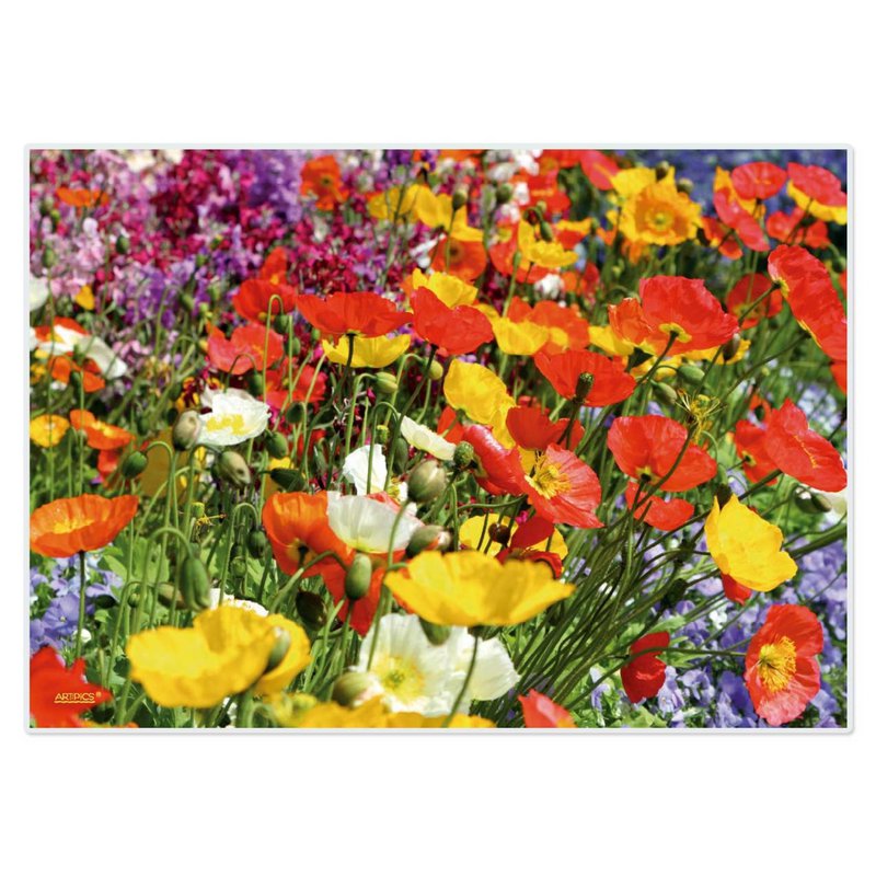 Artipics placemats flower meadow 4 piece placemats washable plastic each 42 x 30 cm summery colorful flowers natural table decoration for the kitchen, dining area, guests, indoors, outdoors