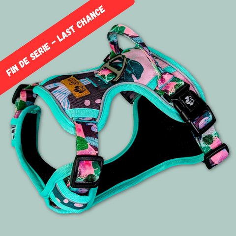 Cactus Comfort Y Dog Harness