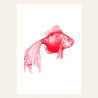 Risography postcard - veil fish - DIN A6