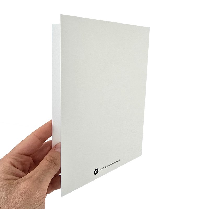 Kaart flamingo kleur met envelop