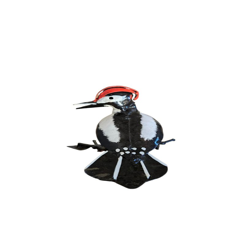 METALEN BABY GROTE GEVLEKTE WOODPECKER