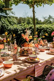 Mag dinner plate yellow pink orange red 4 assorted