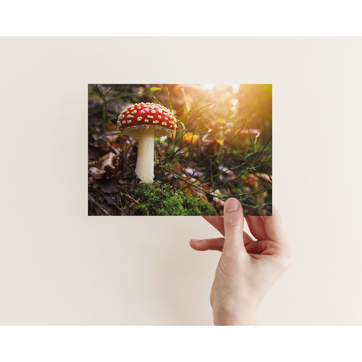 Postkarte Fliegenpilz (PK_035)