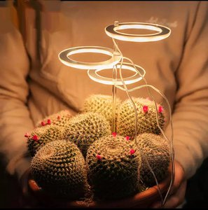 Grow light rings - before flowering
