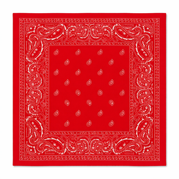 HS Bandana Large Scarf - In 8+ Colors - 110x110 cm – Cashmere Look