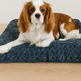 Soft pet bed mat for cats and dogs, available in brown, pink, grey, multiple sizes, washable, comfortable, non-slip, warm winter bedding.