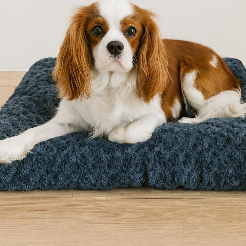 Yommy Katzen- und Hundemattenbett | Weiches, warmes und waschbares Winter-Haustierbett | Bissfeste Matratze, rutschfest, bequem und atmungsaktiv | Erhältlich in verschiedenen Größen und Farben, ideal für kleine Haustiere
