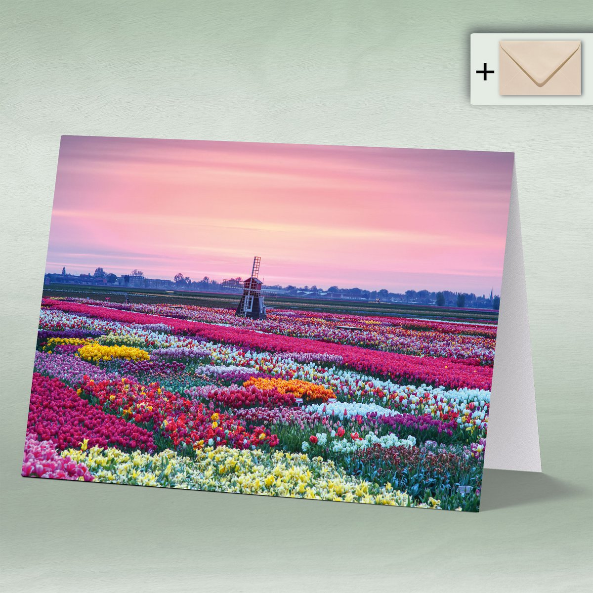 Greeting card, Doppelkarte 8172 Tulpenfeld mit Windmühle im Sonnenaufgang, Tulpe, Tulpen Frühling Blumen Holland