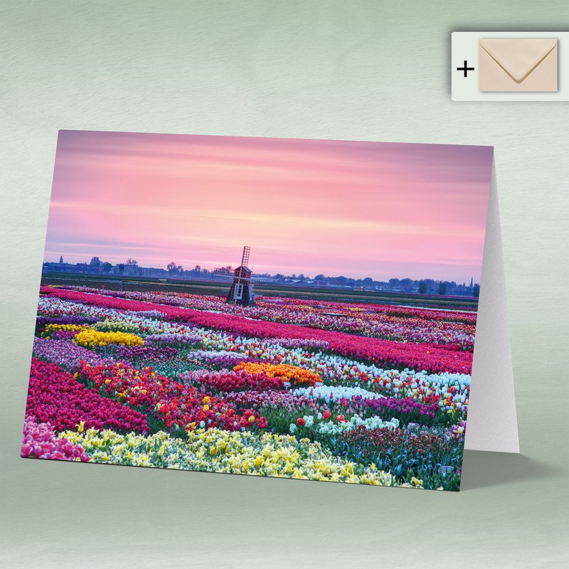 Greeting card, Doppelkarte 8172 Tulpenfeld mit Windmühle im Sonnenaufgang, Tulpe, Tulpen Frühling Blumen Holland