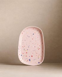 New Party Small Tray - Mix 6 Pieces