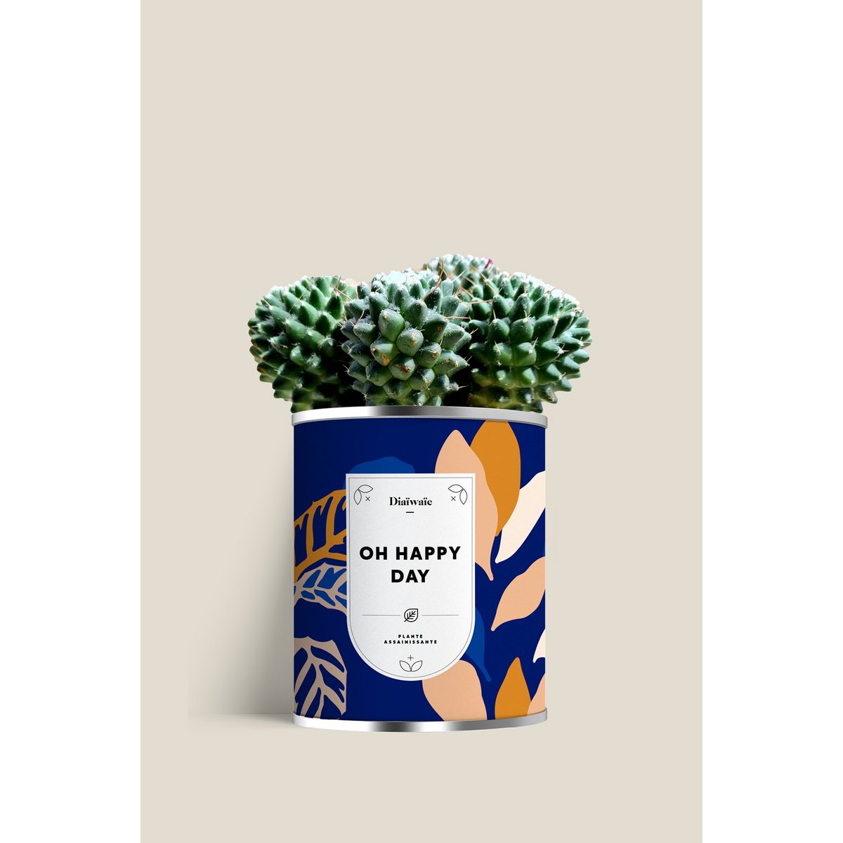 OH HAPPY DAY - Groot model