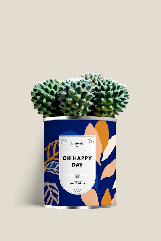 OH HAPPY DAY - Large model