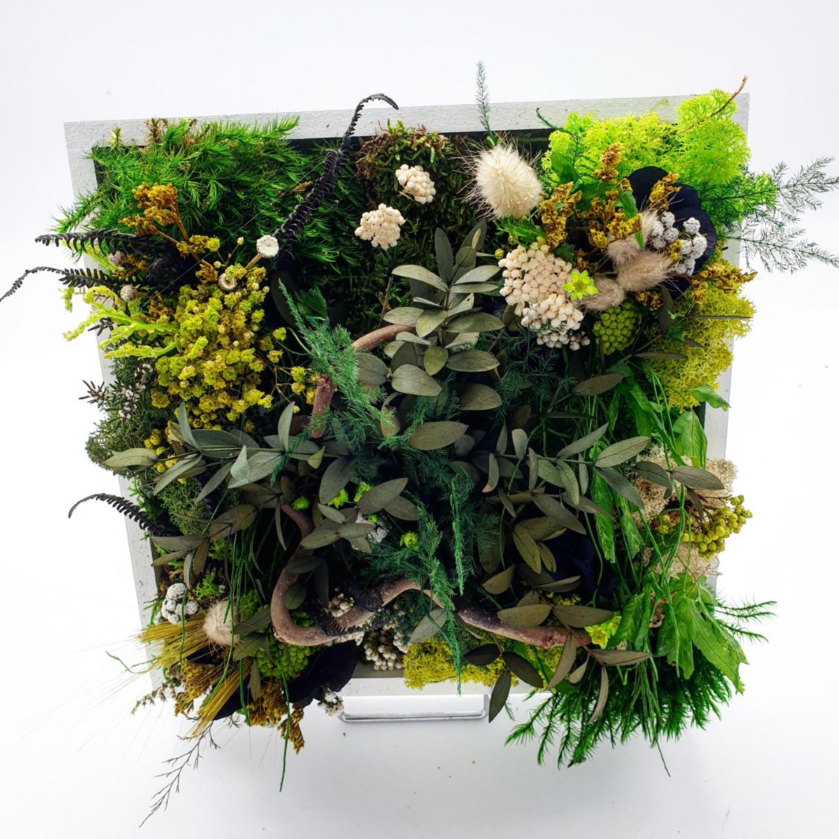 Stabilized square plant table 20 x 20 cm