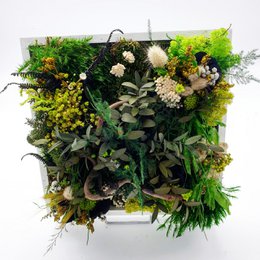 Stabilized square plant table 20 x 20 cm
