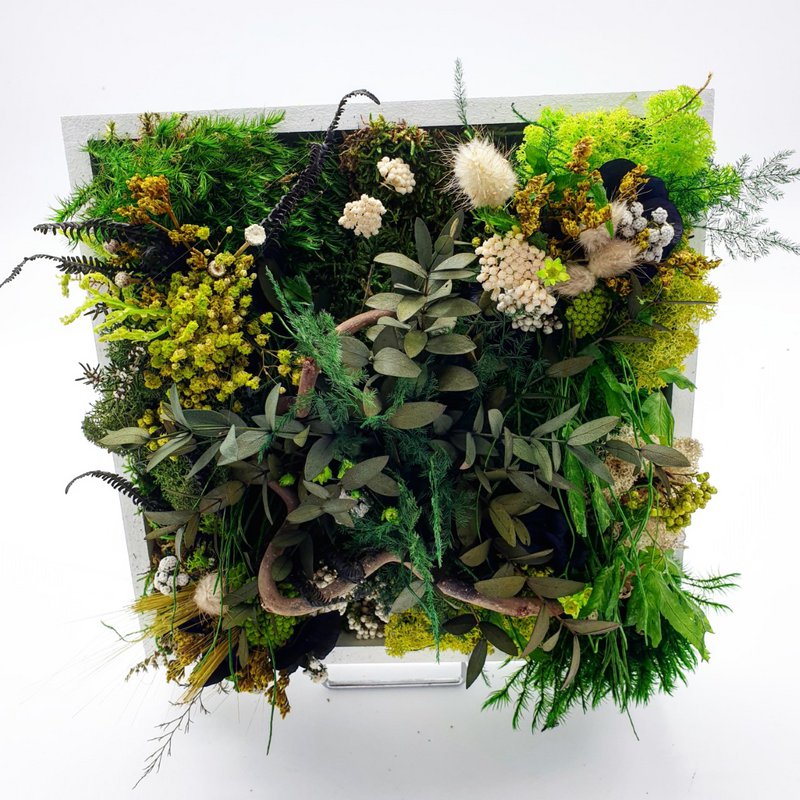 Firkantet stabiliseret plantebillede 20 x 20 cm
