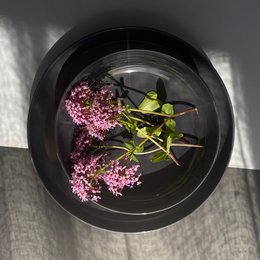 Elements Fossil Grey Dessert Plate