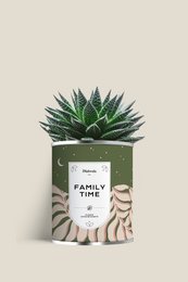 Large green succulent plant in a ceramic pot labeled "FAMILY TIME"