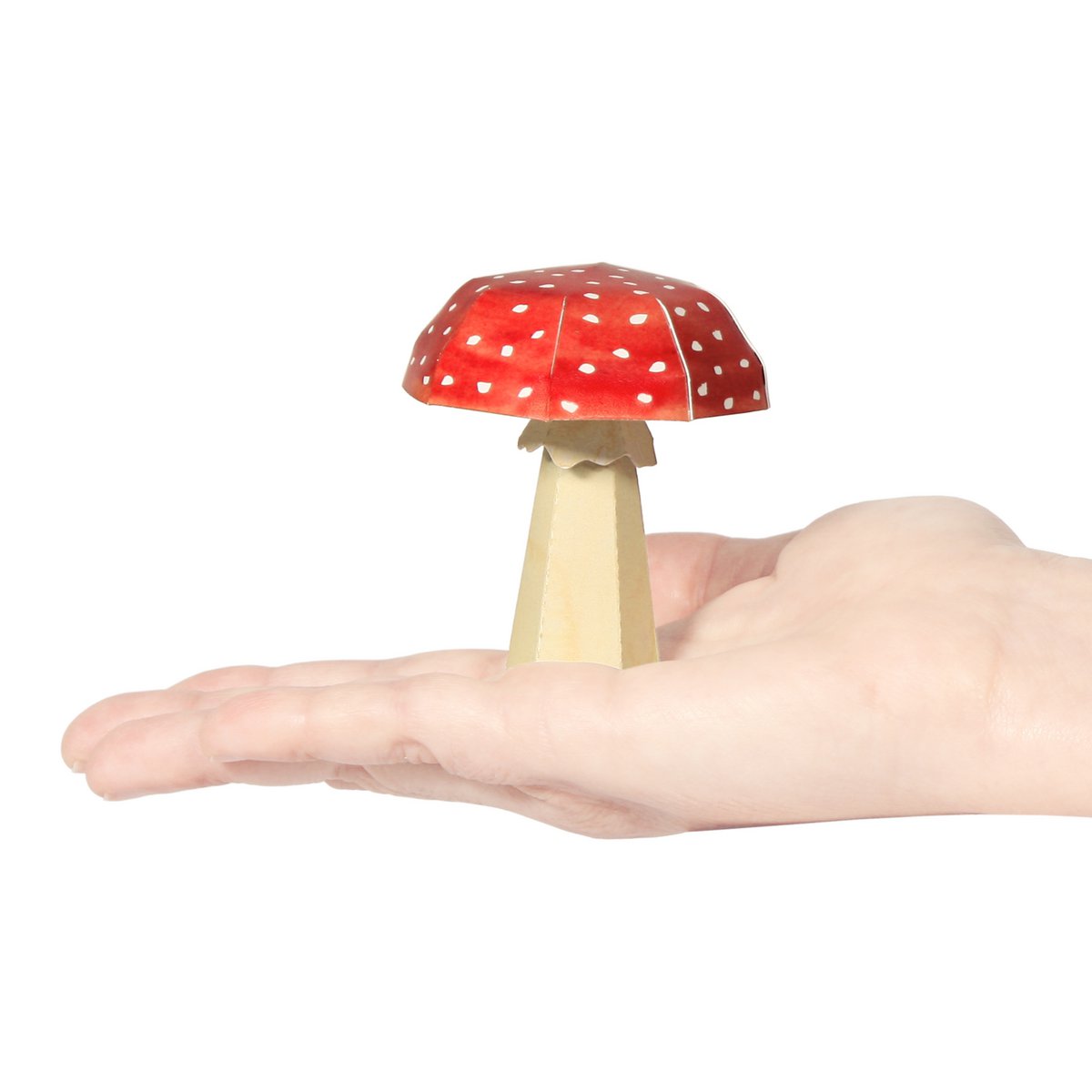 Pocztówka Amanita muscaria
