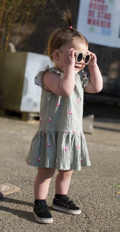 Sommerkjole print flamingo