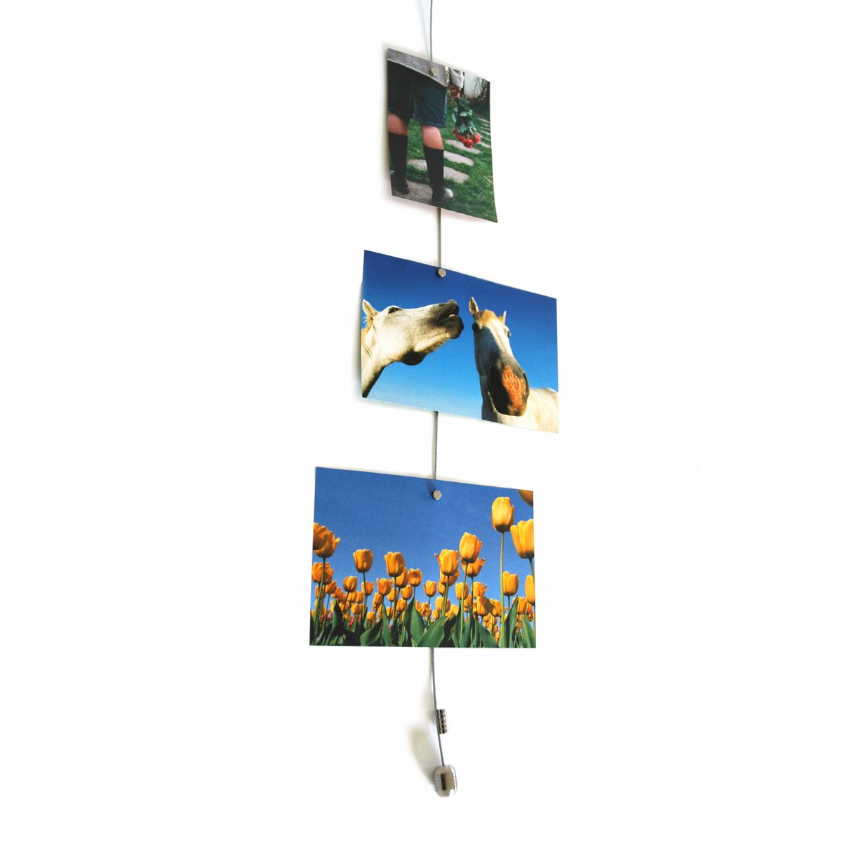 Trendform Photo Koord Steely Dan - incl. 8 Magnets - 150 cm