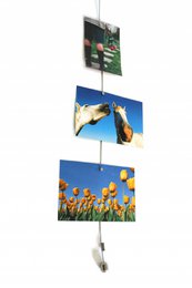 Trendform Photo Koord Steely Dan - incl. 8 Magnets - 150 cm